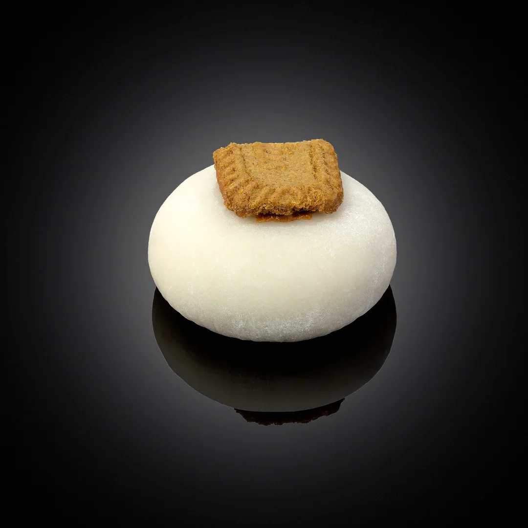 موچی لوتوس